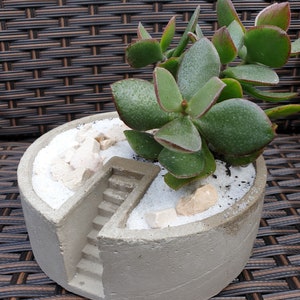 Planta de diseño de interiores 'Casa' de hormigón moderno