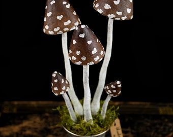 Mushrooms specimens N 15 sculpture of papier-mâché mushrooms in cabinet of curiosities style