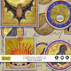 Oiseaux manuscrits enluminés - Imprimables éphémères