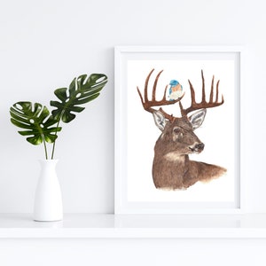 Buck white tail deer art print, watercolor art print