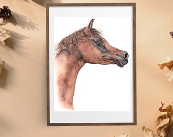 Arabian Horse Giclée Print: Watercolor Equine Art