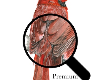 Lámina decorativa imprimible de pájaro cardenal, pintura de pájaro en acuarela, decoración de naturaleza, regalo de descarga instantánea