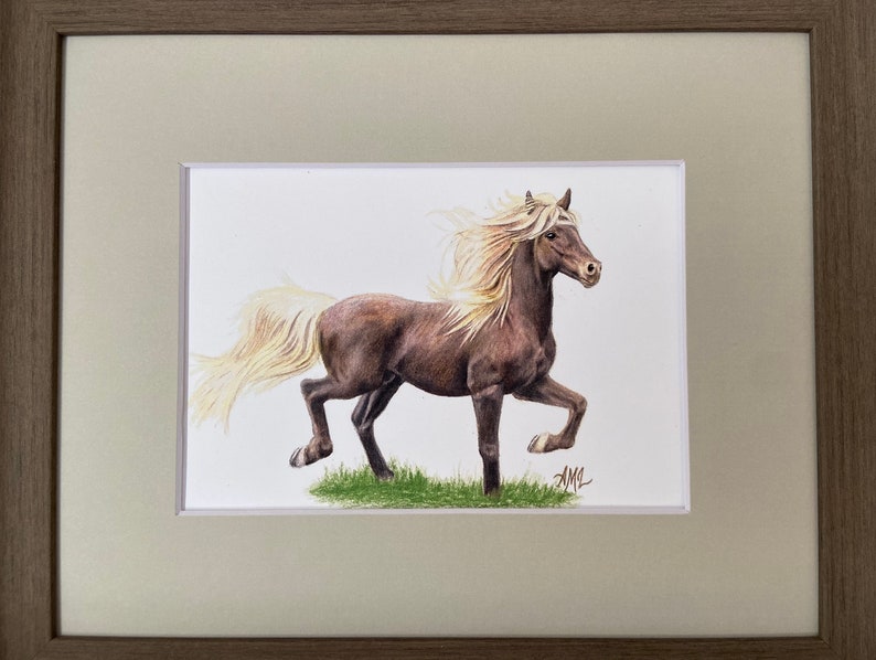 Horse/rocky Mountain Horse Art Print Original Artwork Etsy