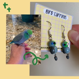 May include: A pair of silver bird earrings with blue and green details. The earrings are on a card that says "Bird Earrings".
