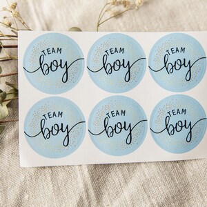 May include: A sheet of six blue and gold round stickers with the text "Team Boy" in black script.