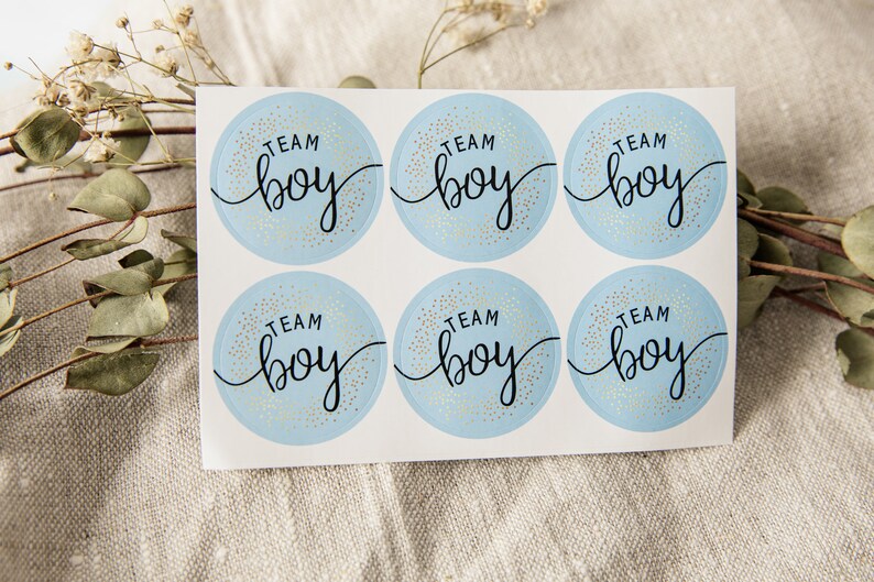May include: A sheet of six blue and gold round stickers with the text "Team Boy" in black script.