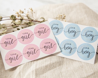 Sticker Babyshower Sticker team boy team girl blue pink baby 6 pcs for gender reveal