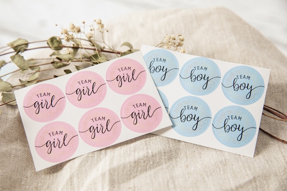 Aufkleber Babyshower Sticker  team boy team girl blau rosa baby 6 Stk für gender reveal