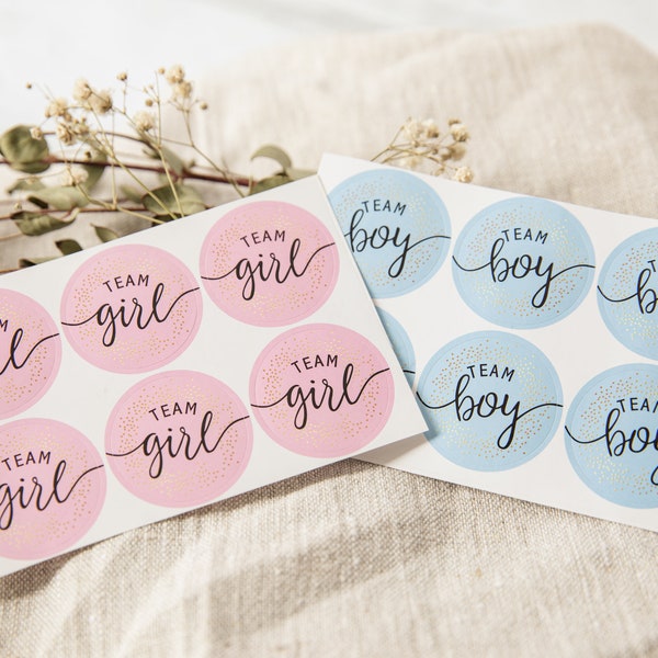 Aufkleber Babyshower Sticker  team boy team girl blau rosa baby 6 Stk für gender reveal