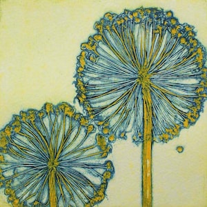 Carte de voeux sur mesure. Têtes d'allium.