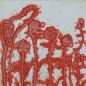 Fronds carte de vœux.  Fougères.  Bois.