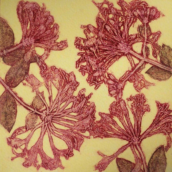 Chintz greetings card.  Honeysuckle.