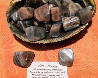 May include: A collection of black moonstone tumbled stones in a shell-shaped dish. The stones are a dark gray with a shimmery, iridescent quality. The text on the card reads: "Black Moonstone Aids you in connecting to the divine feminine during meditation. Assists with the development of psychic gifts. Is associated with the sacral or navel chakra. They also make a good connection within the base and earth chakras to stimulate grounding and give protection. Can enhance your connection to new moon energy. They are powerful used in meditation."
