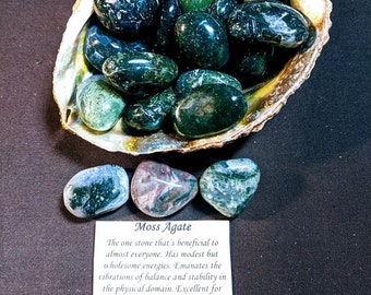 May include: A collection of moss agate tumbled stones in a seashell. The stones are green and have a mottled appearance. The text on the card reads: "Moss Agate. The one stone that's beneficial to almost everyone. Has modest but wholesome energies. Emanates the vibrations of balance and stability in the physical domain. Excellent for those recovering from illness or addiction, enhances mental concentration, persistence, endurance, and bringing ones goals to completion. Will magnify the energy of ones intentions."
