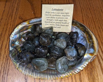 May include: A collection of dark grey labradorite tumbled stones in a shell. Labradorite helps reflect your inner light, used for meditation, amplifies your ability to perceive life through a wide-angle lens, beneficial for general health of eyes, nerves, brain, bones and spinal cord.
