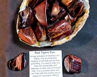 May include: A collection of polished Red Tiger's Eye stones in shades of red and brown, displayed in a natural shell. The stones are smooth and have a striped pattern. A card reads "Red Tigers Eye" with information about the stone.