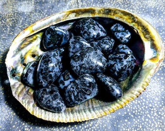 May include: Abalone shell bowl filled with polished black and gray speckled stones. The shell has iridescent colors of gold, purple, and blue. The stones are smooth and rounded, with a dark, mottled pattern.