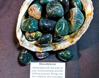May include: A collection of green and red bloodstone tumbled stones in a natural seashell. The stones are smooth and polished. The text on the card reads: "Bloodstone Associated with the birth of your consciousness and the birthing process. Brings out the creativity and motivates you to take action of your dreams and goals. Good for menopause, hormonal imbalance, blood disorders, liver, heart, lungs and spleen."
