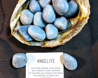 May include: A collection of smooth, blue angelite stones displayed in a large, iridescent seashell. The stones are a soft, pale blue color. A card next to the stones reads "ANGELITE" and describes the stone's properties.