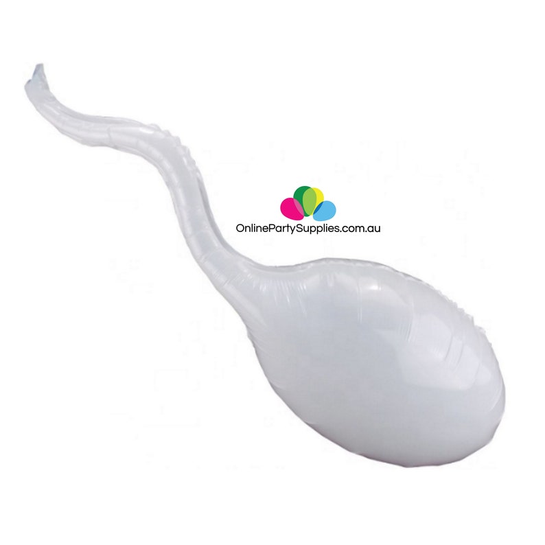 Sperm Adult