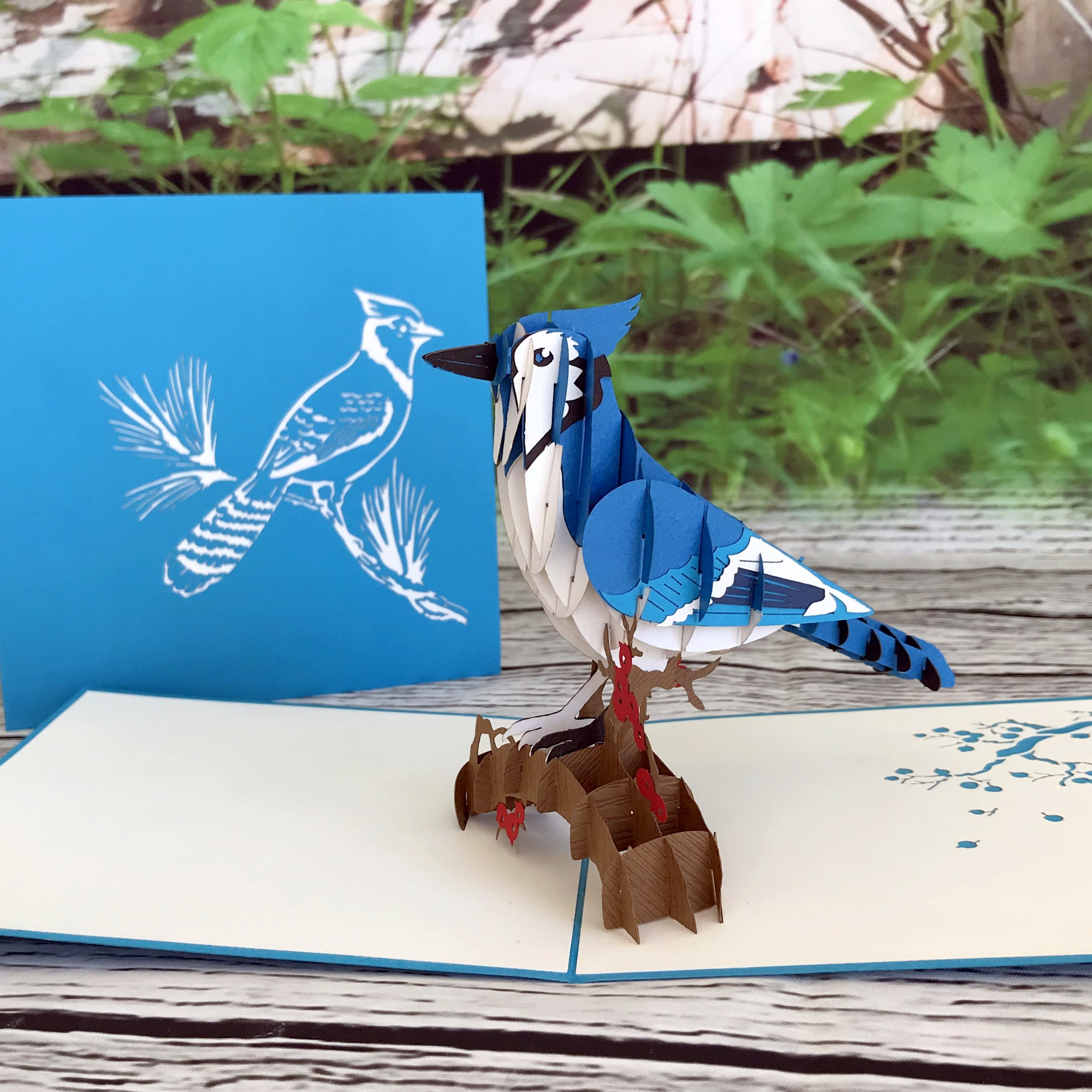 Handmade Australian Native Laughing Kookaburra Bird 3D Pop Up Greeting Card