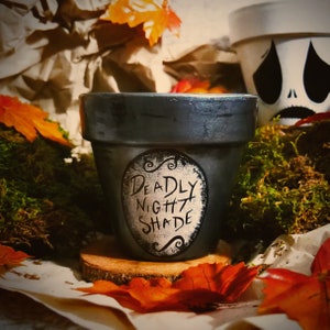 Może przedstawiać: Ciemnoszary malowany doniczka z napisem "Deadly Night Shade" w białym owalu. Dookoła doniczki są jesienne liście i mech. W tle znajduje się kolejna doniczka z twarzą.