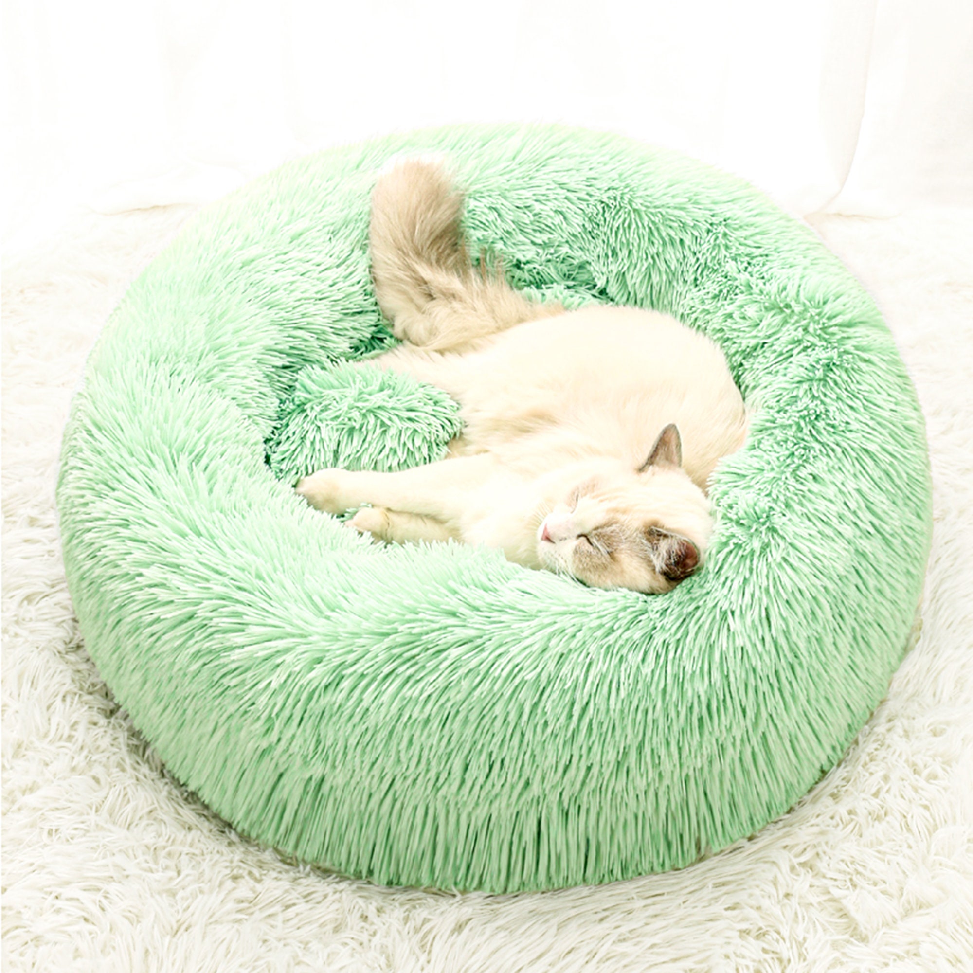 abby space dog bed
