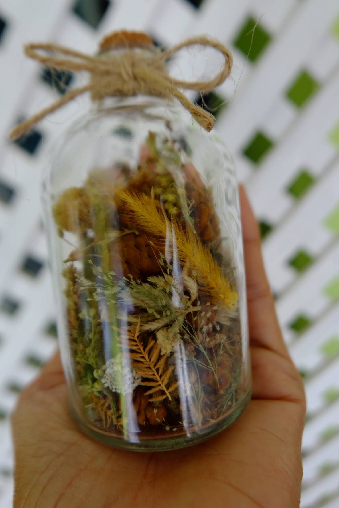 Dried flowers in bottle . Gift for friend . Dried flowers Etsy