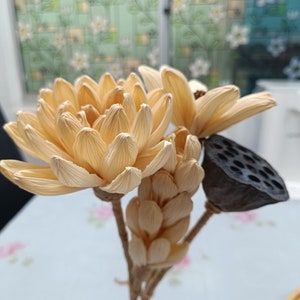 Dried flowers cornhusk flowers3pcs.Lotus pod 1 pcs height 12-13 inches