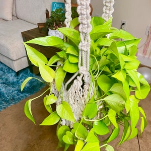 Macrame plant hanger with fringe, Plant Hanger
