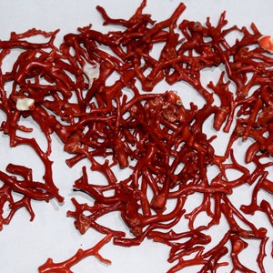 Beautiful Natural Italian Coral Sea Red Coral Unique Design Coral Making For Beautiful Jewelry Loose Gemstone  Polished Coral Rough Stick M3