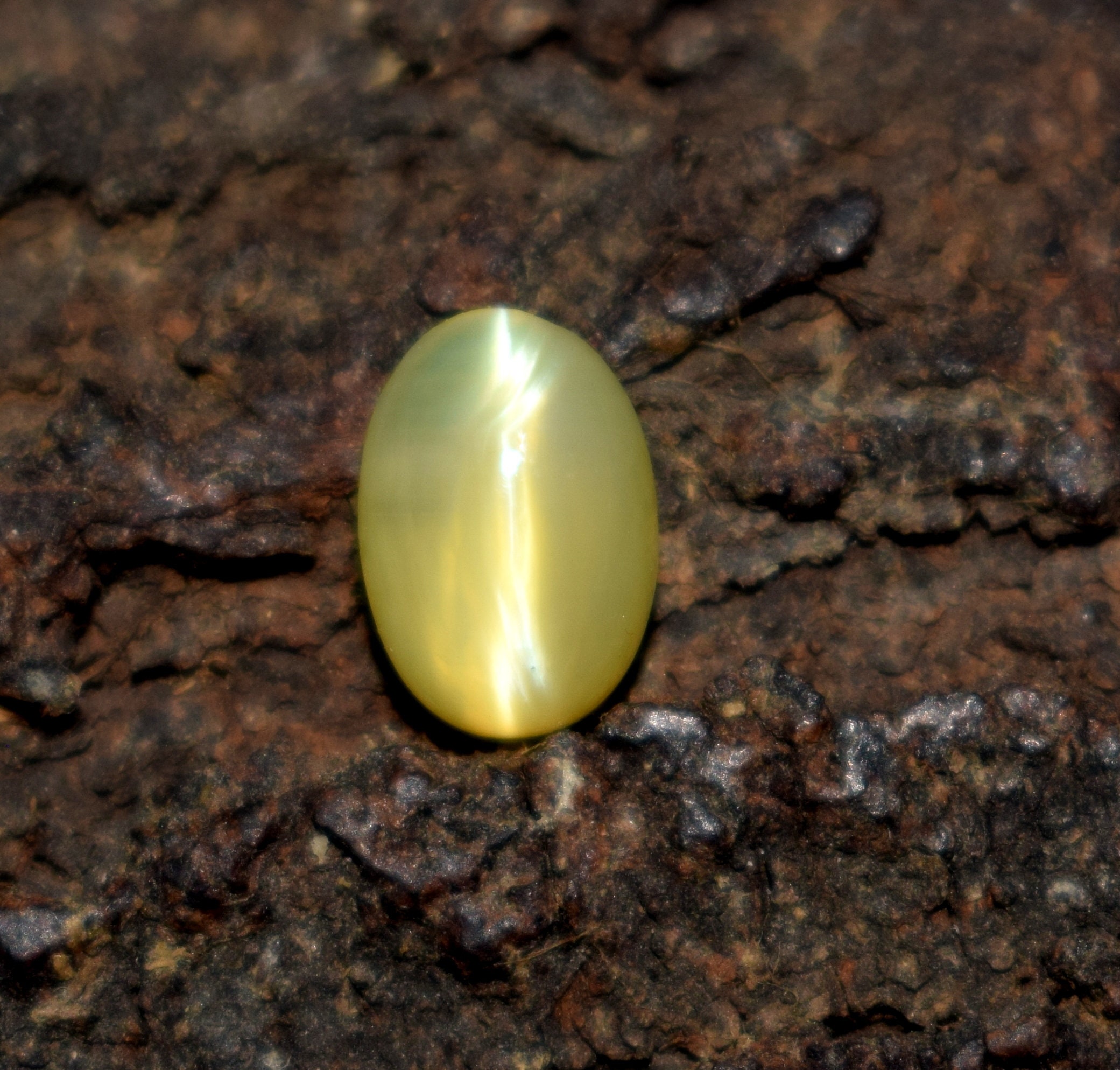 Opal Cats Eye 6X9 MM 1.47 Cts Oval Shape Natural Opal Cats Eye Etsy