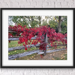 Farmhouse Wall Decor , Fall fence rail, Rustic Decor