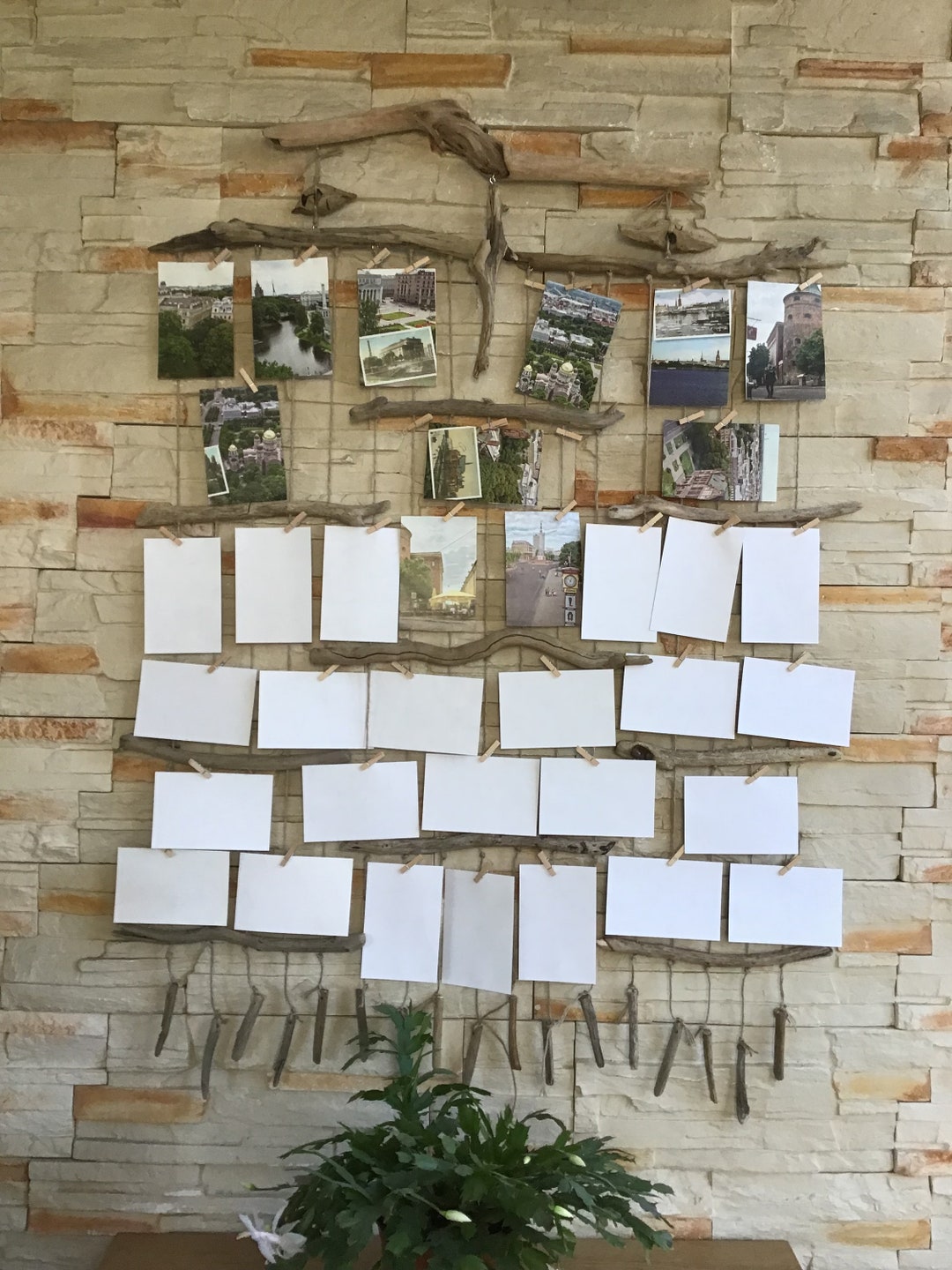 Driftwood Photo Hanger Driftwood Wall Art Driftwood Wall Decor Etsy