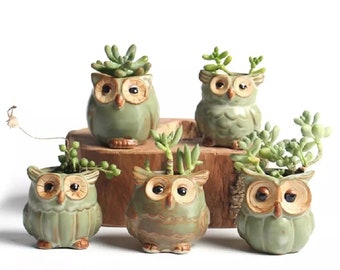 карты таро кошмар перед рождеством. Смотреть фото карты таро кошмар перед рождеством. Смотреть картинку карты таро кошмар перед рождеством. Картинка про карты таро кошмар перед рождеством. Фото карты таро кошмар перед рождеством карты таро кошмар перед рождеством. Смотреть фото карты таро кошмар перед рождеством. Смотреть картинку карты таро кошмар перед рождеством. Картинка про карты таро кошмар перед рождеством. Фото карты таро кошмар перед рождеством