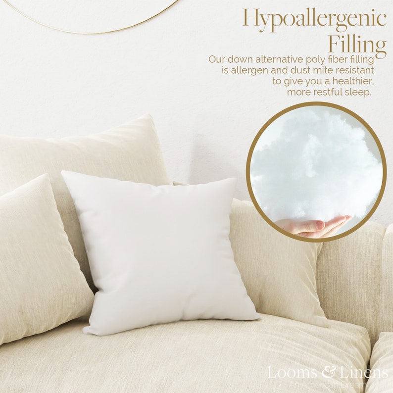 22x22 Euro Throw Pillow Insert: Hypoallergenic Down Alternative image 6