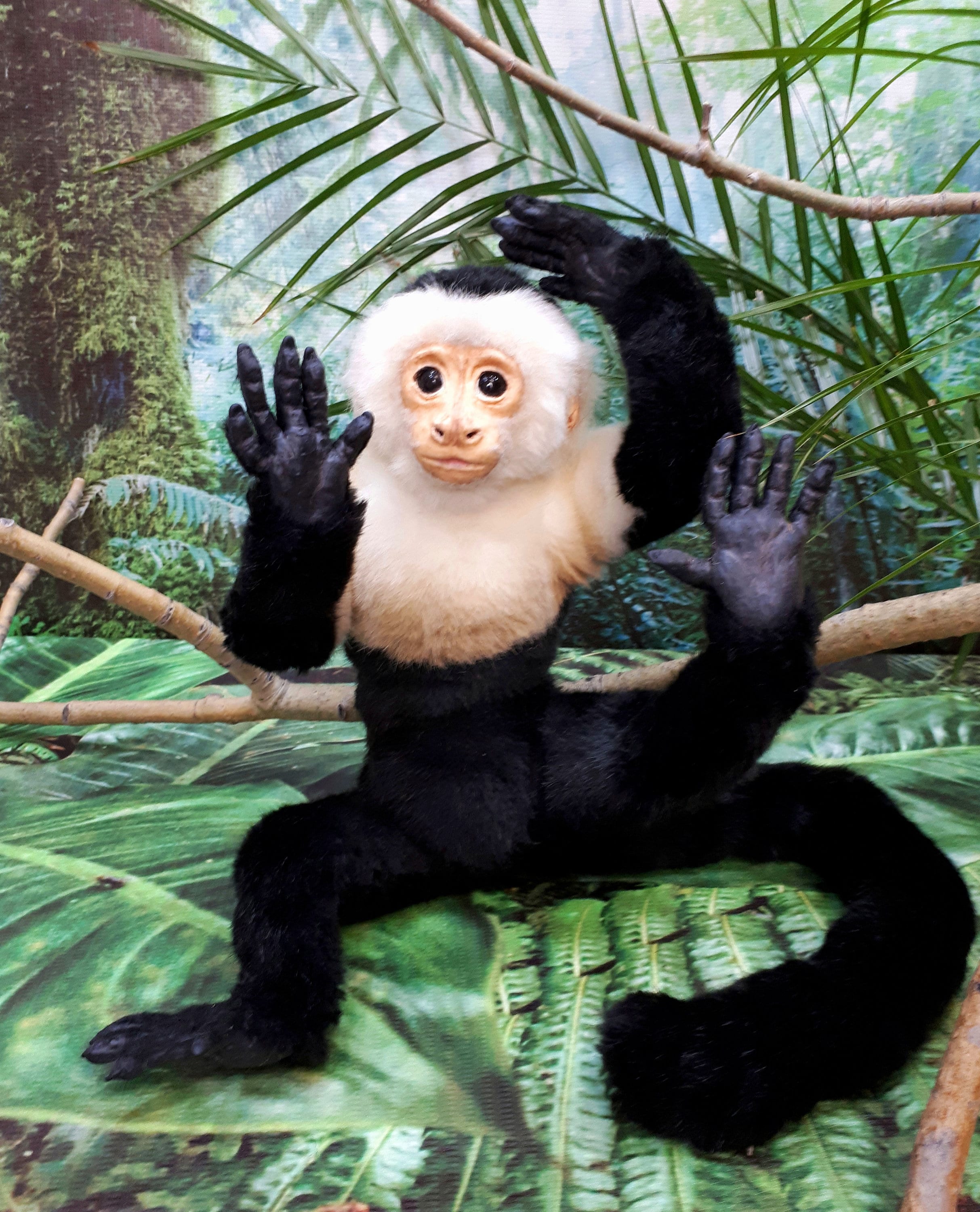 Realistic toy stuffed animal monkey. Baby monkey realistic Etsy