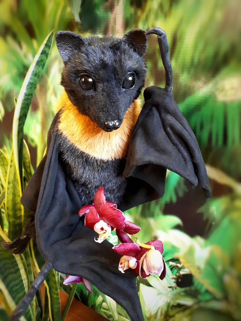 Bat toy . Bat realistic stuffed animals. OOAK toys. Etsy