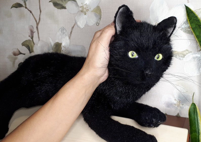 Realistic toy stuffed animal black cat. Pet portrait real | Etsy