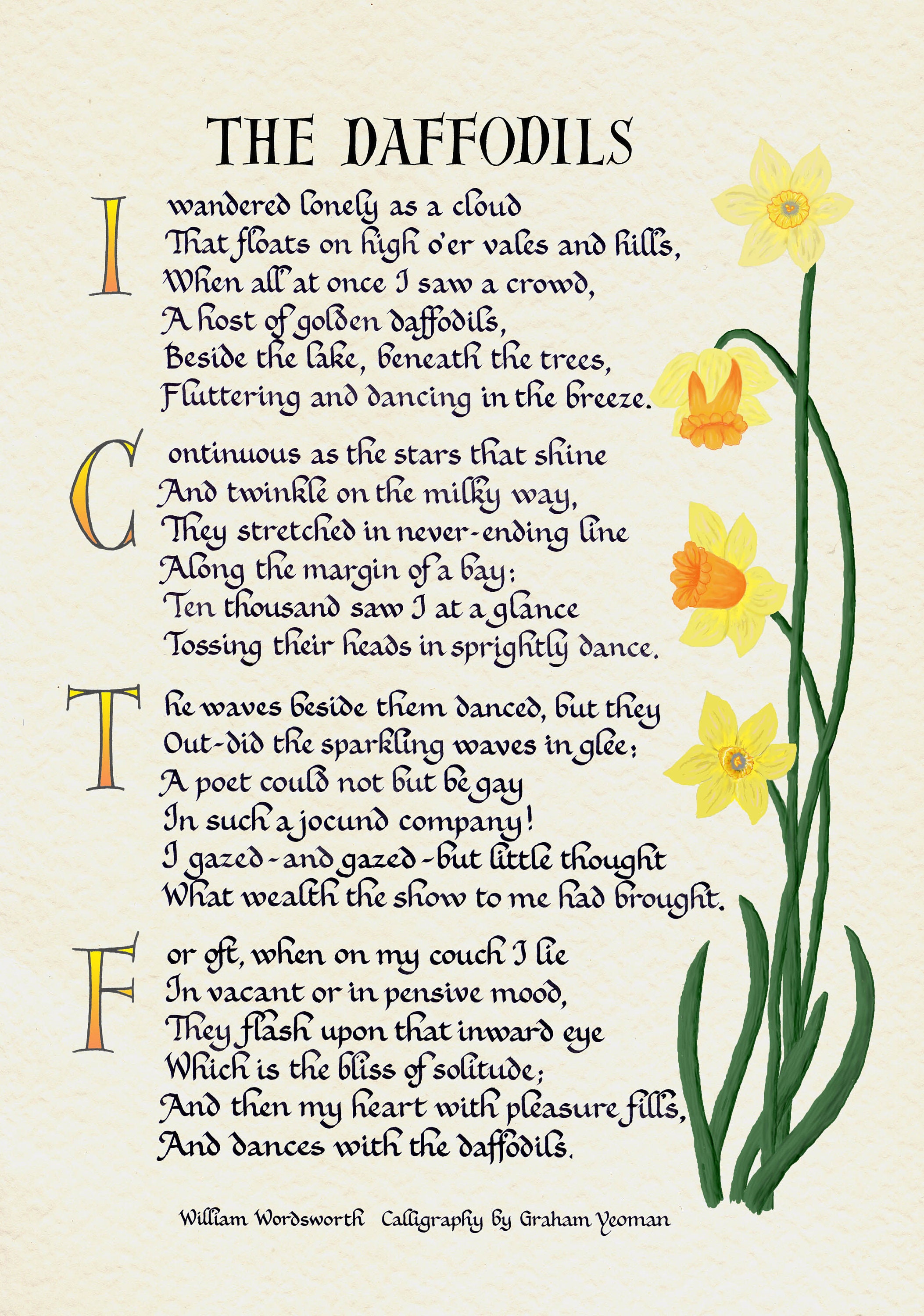 creative writing of daffodils