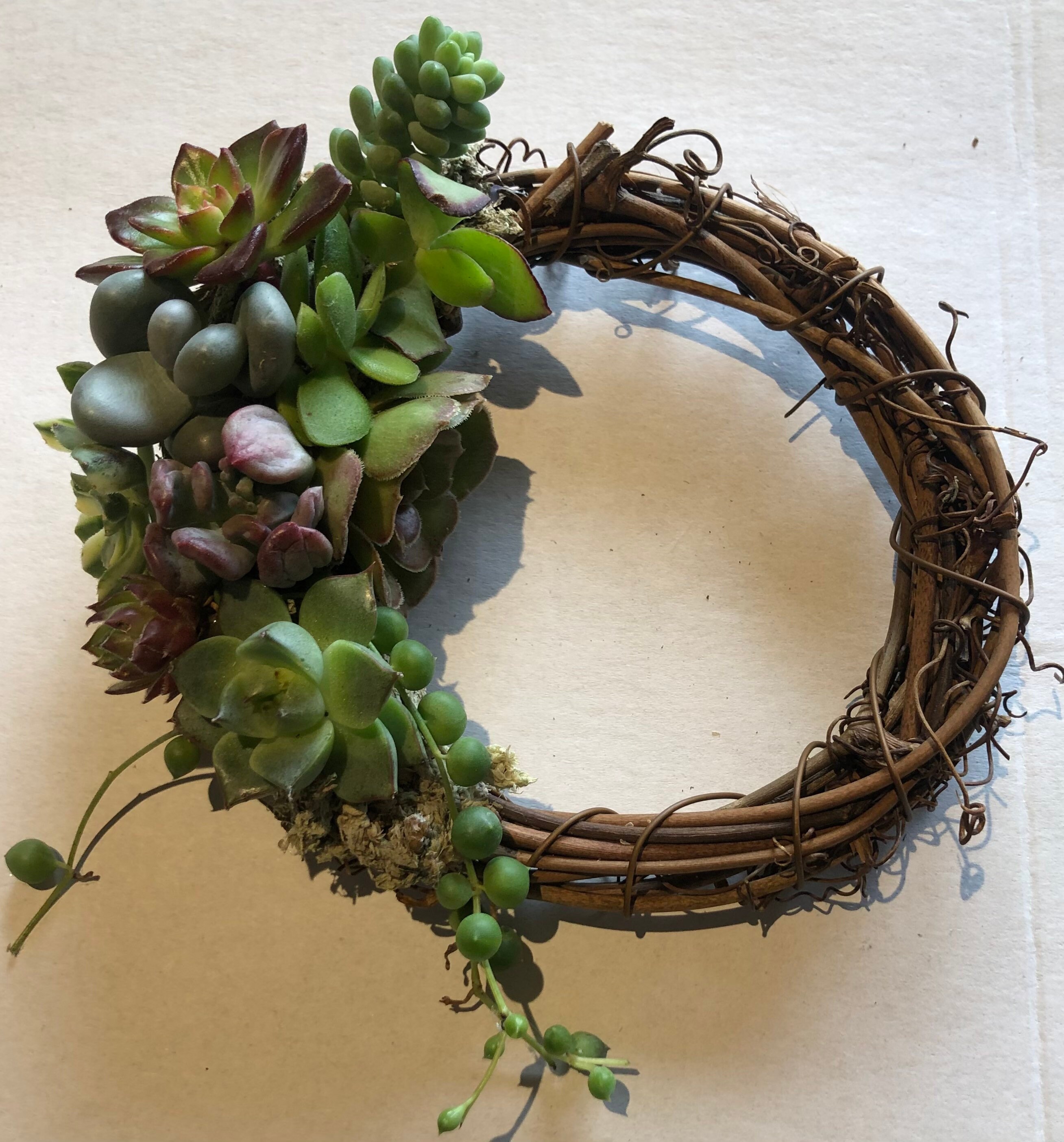 Living succulent wreath 10 Etsy