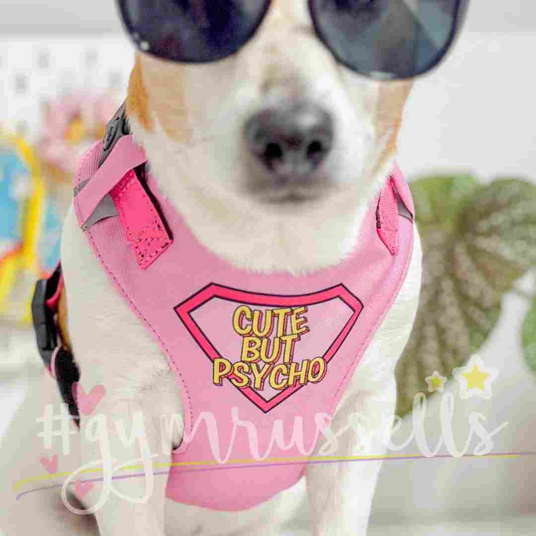 Cute but Psycho Chest Harness for Small and Medium Dogs Etsy UK