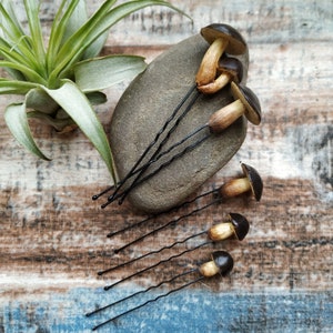 Set of 5 handmade Bolete Mushroom Hair Pins ~ Goblincore aesthetic