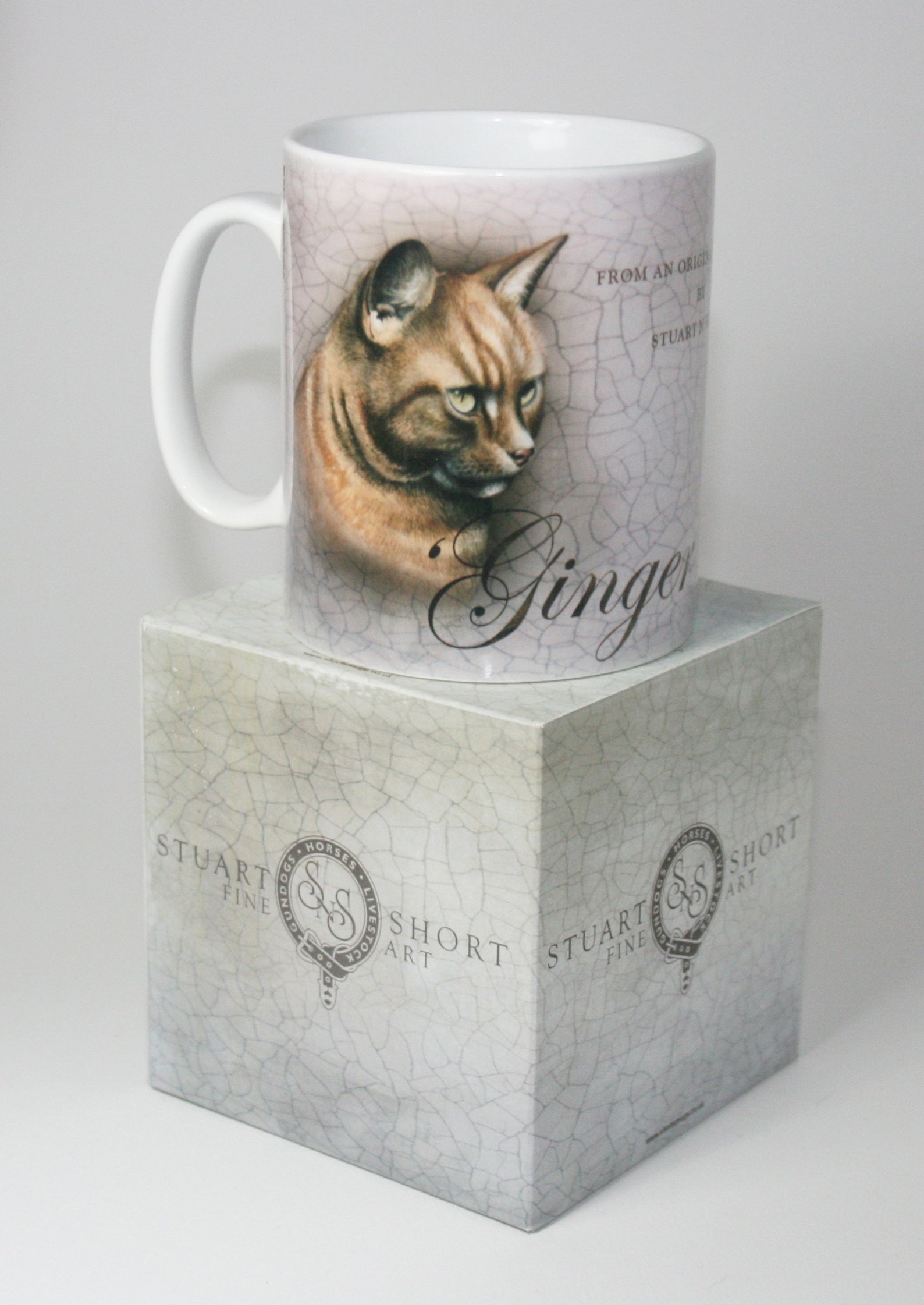 Ginger Tom Mug Ginger Cat Mug Ginger Tabby Cat Gift Pet Cat Gift