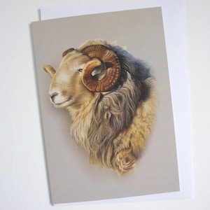 Herdwick Tup Card, Herdwick Sheep Card, Sheep Greetings Card, Sheep Gift Card, Animal Print Greetings Card, Lake District