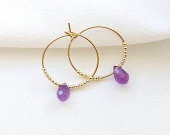 Earrings with stone pendant, stainless steel hoops, amethyst drop, jewelry for the party, gift idea for women.