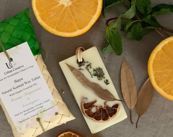Duftende Wachstabletten - Orange, Pfefferminze und Eukalyptus (Hergestellt aus USDA-zertifizierten biologischen ätherischen Ölen, die in Bienenwachs infundiert sind)