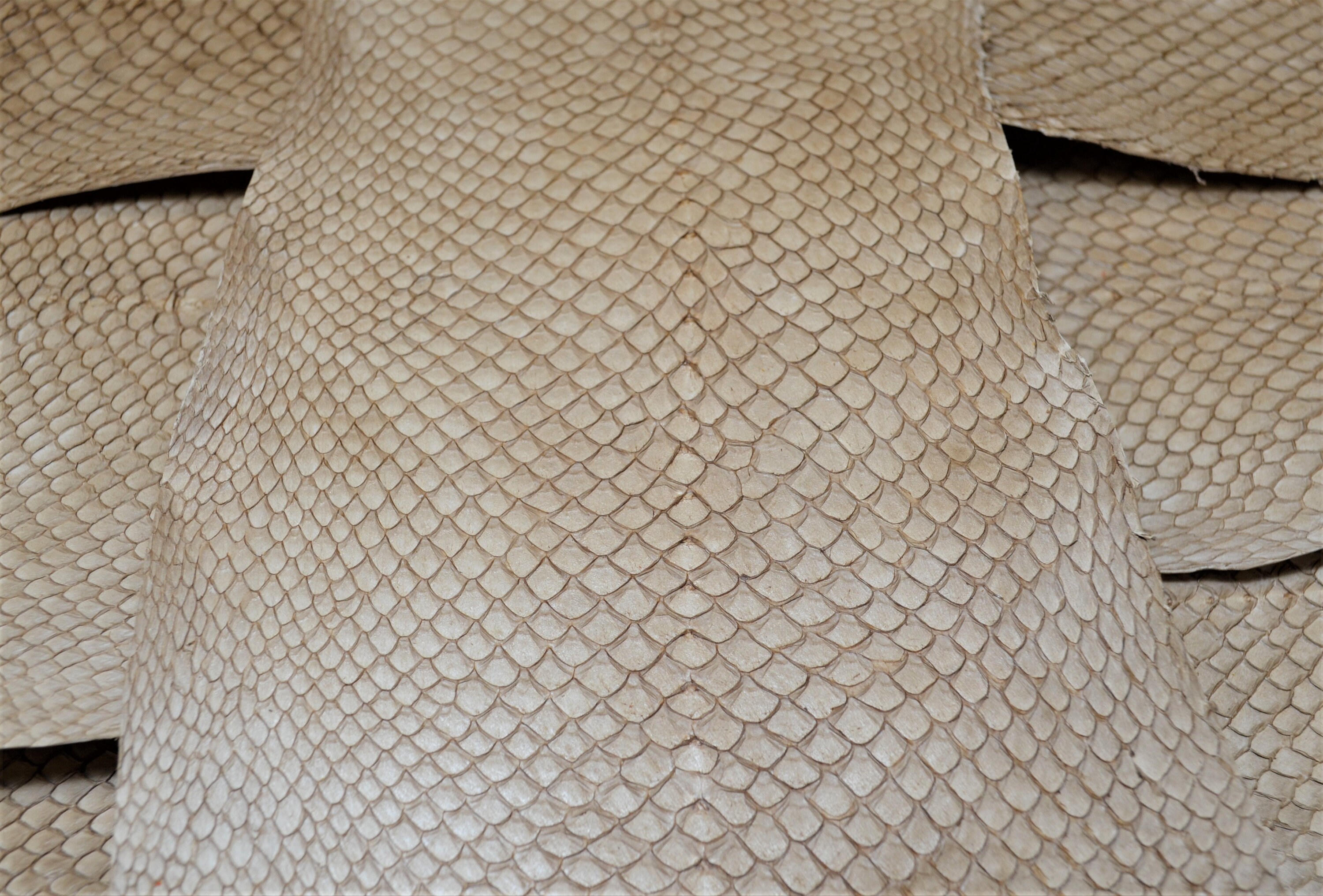 Fish leather very durable vegetabletanned light brown Etsy