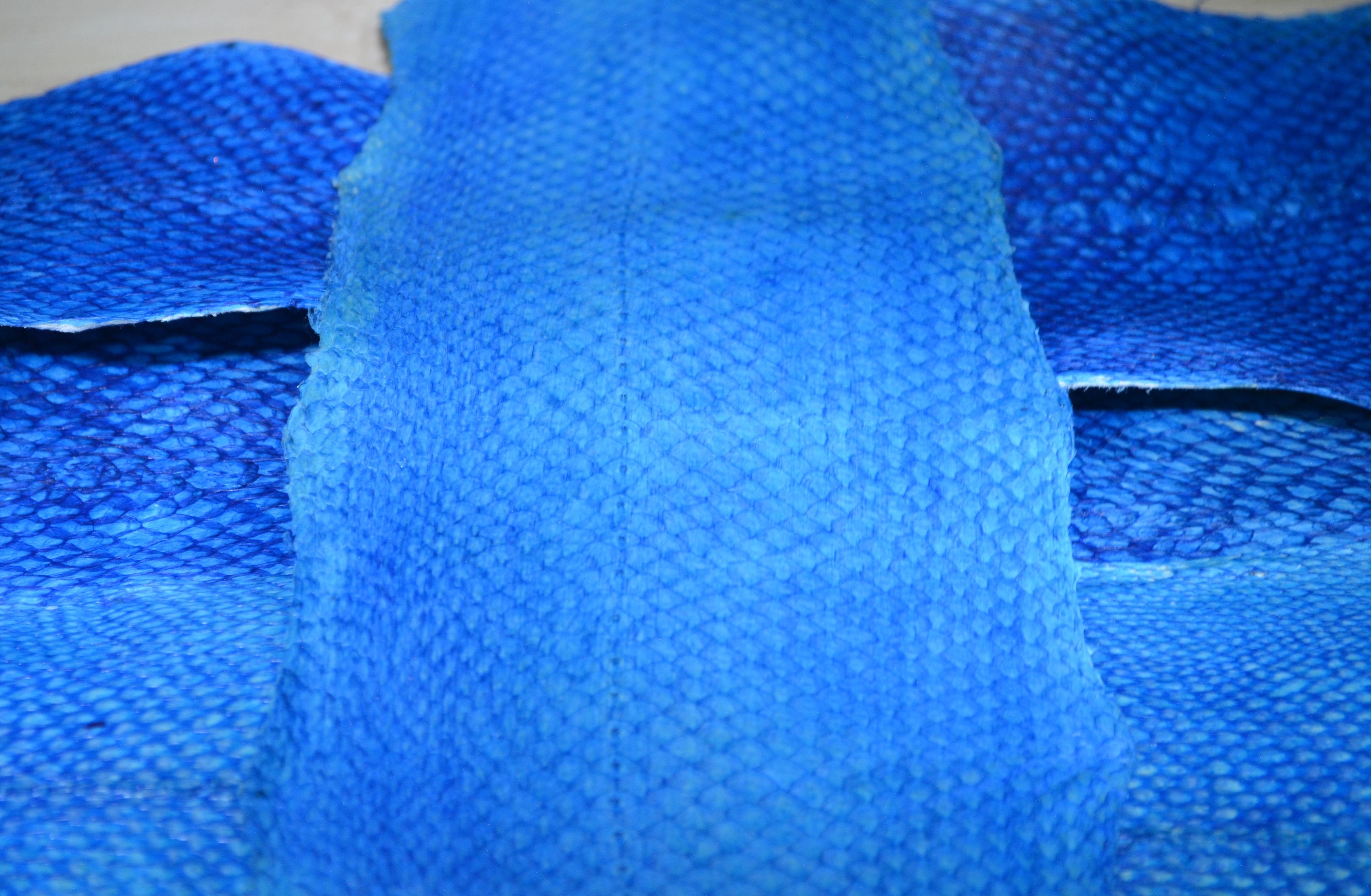 Natural fish leather lacquered blue Salmon Leather Etsy