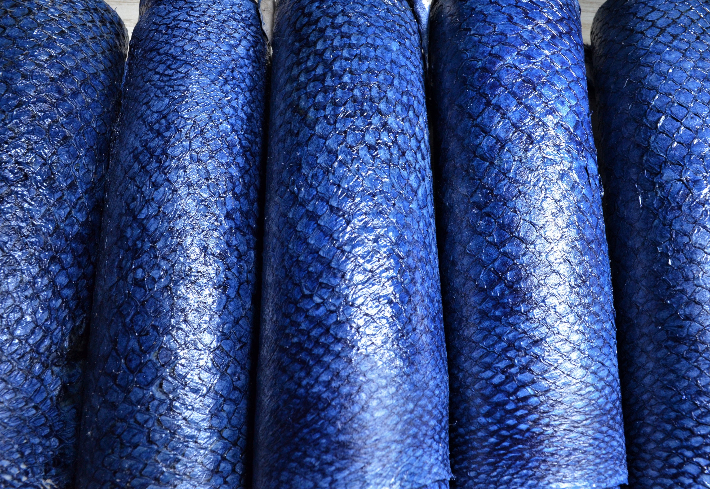 Genuine Fish Skin Blue Leather Salmon Skin Exclusive Fish Etsy